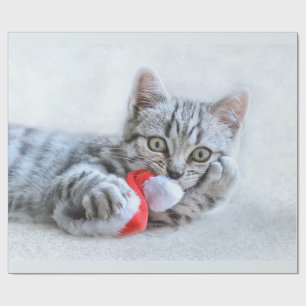 Cute Grått Tabby katt w/ jul Hat Julafton Presentpapper