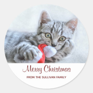 Cute Grått Tabby katt w/ jul Hat Julafton Runt Klistermärke