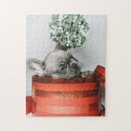 Cute grått-valpen i röd låda pussel