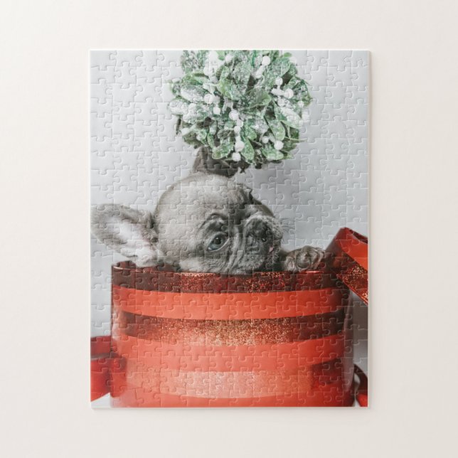 Cute grått-valpen i röd låda pussel (Vertikal)