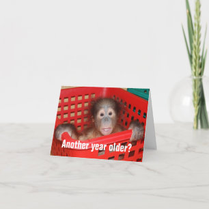 Cute Grattis på födelsedagen Kort