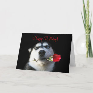 Cute Grattis på födelsedagen till min bror i jurid Kort