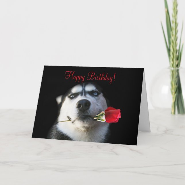 Cute Grattis på födelsedagen till min bror i jurid Kort (Framsida)