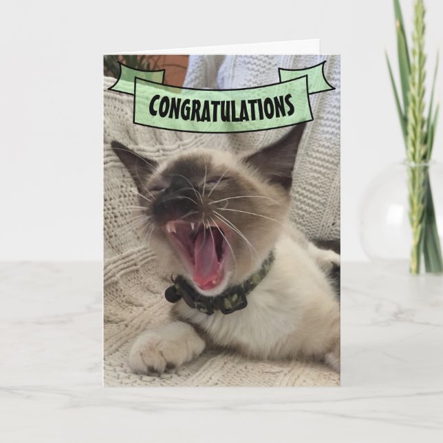 Cute Grattiss Shouting Siamese Kitten Photo Kort (Framsida)