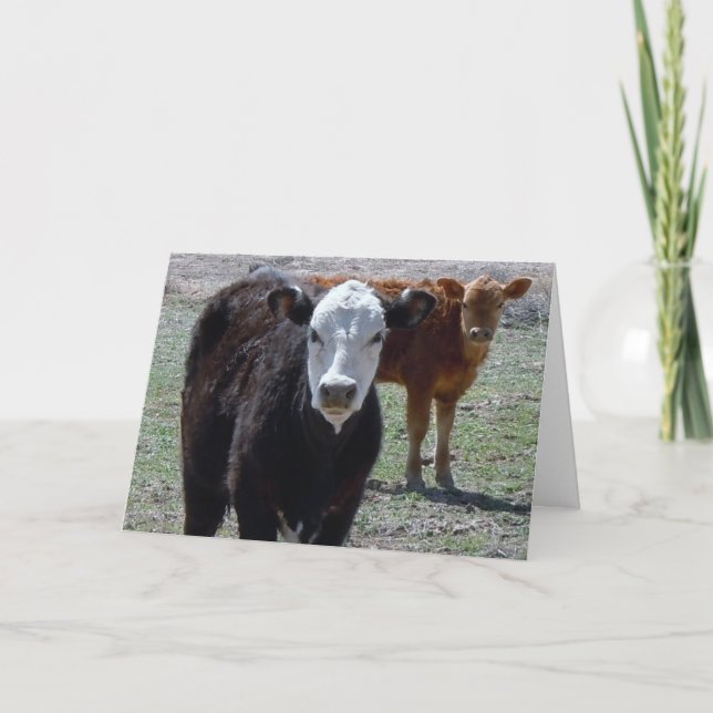 Cute Grattiss Vet Student - DVM. för Ranch-serverg Kort (Framsida)