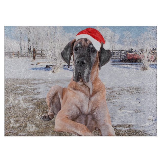 Cute Great dane Hund Sitta i Snö julhatt (Framsidan)