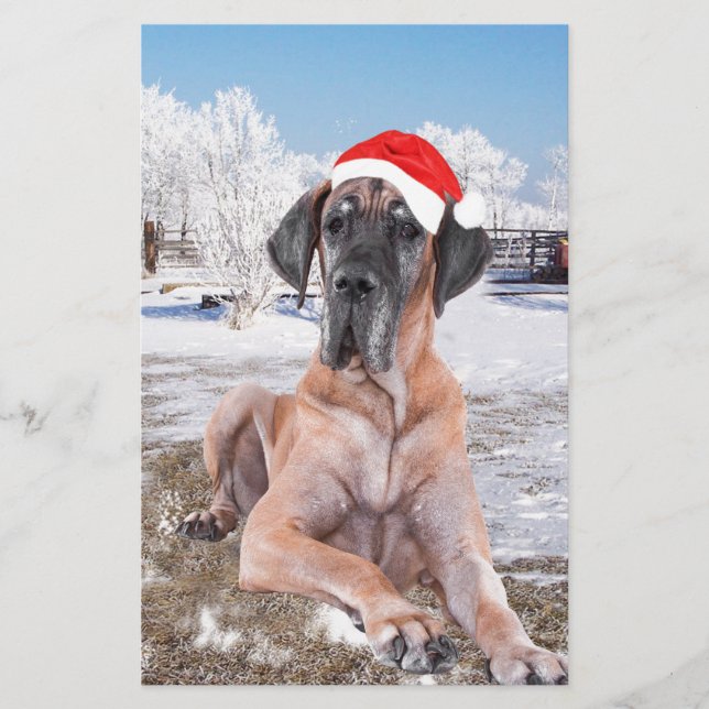 Cute Great dane Hund Sitta i Snö julhatt Brevpapper (Framsida)