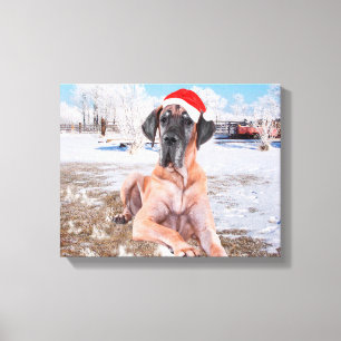 Cute Great dane Hund Sitta i Snö julhatt Canvastryck