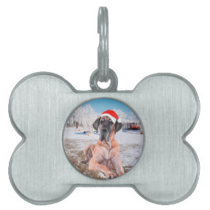 Cute Great dane Hund Sitta i Snö julhatt ID-bricka Husdjur