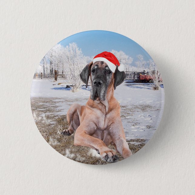 Cute Great dane Hund Sitta i Snö julhatt Knapp (Framsida)