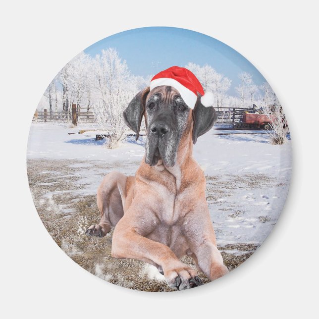 Cute Great dane Hund Sitta i Snö julhatt Magnet (Framsidan)