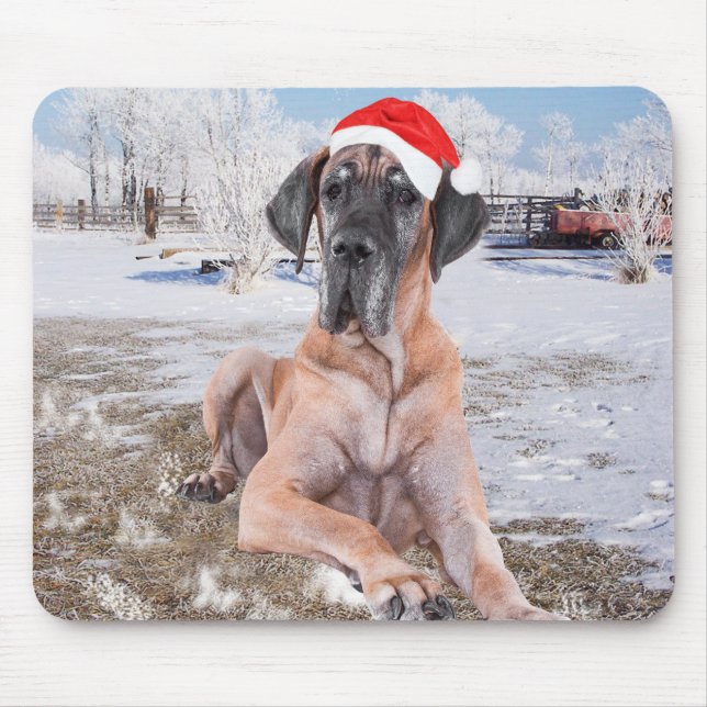 Cute Great dane Hund Sitta i Snö julhatt Musmatta (Framsidan)