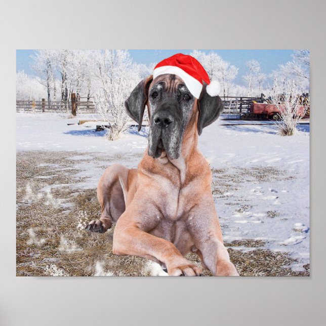 Cute Great dane Hund Sitta i Snö julhatt Poster (Framsidan)