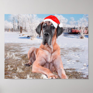 Cute Great dane Hund Sitta i Snö julhatt Poster