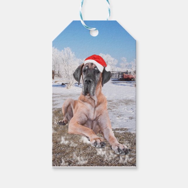Cute Great dane Hund Sitta i Snö julhatt Presentetikett (Framsidan)