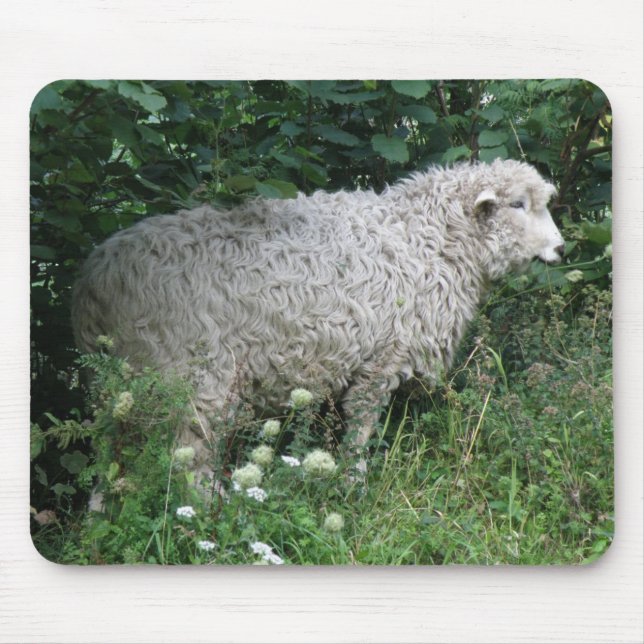 Cute Greedy Sheep Eating Mousepad Musmatta (Framsidan)