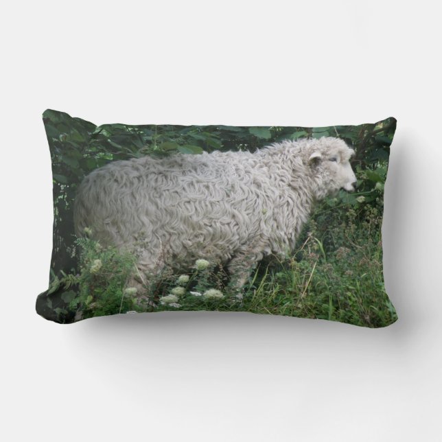 Cute Greedy Sheep Eating Pillow Lumbarkudde (Framsida)