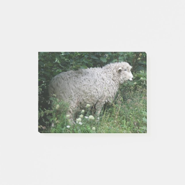 Cute Greedy Sheep Epost, anteckningar Post-it Block (Framsida)
