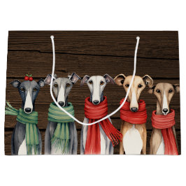 Cute Greyhound Hundar i Scarves