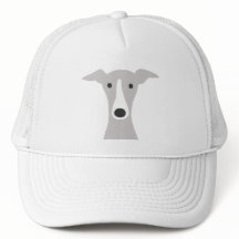 Cute Greyhound, italiensk Greyhound eller Whistrin