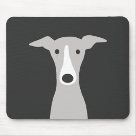 Cute Greyhound, italiensk Greyhound eller Whistrin Musmatta