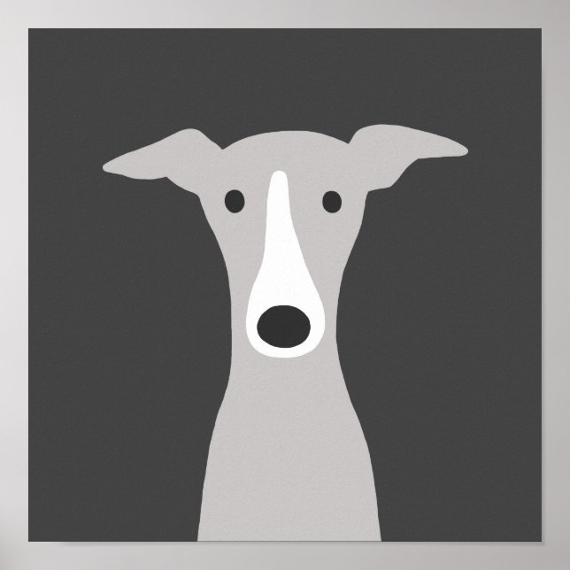 Cute Greyhound, italiensk Greyhound eller Whistrin Poster (Framsidan)