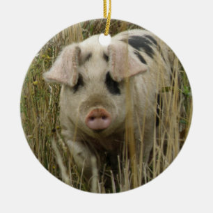 Cute Gris Anpassningsbar Birthday Julgransprydnad Keramik