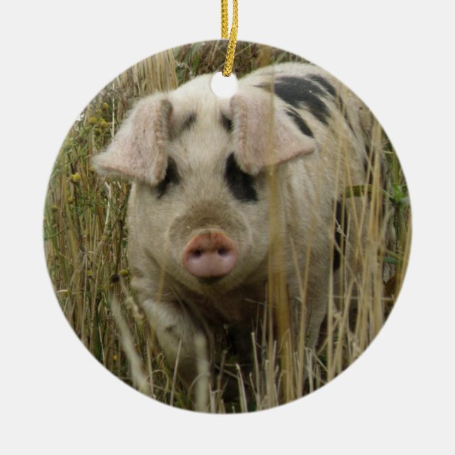 Cute Gris Anpassningsbar Birthday Julgransprydnad Keramik (Framsidan)