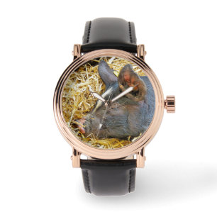 CUTE GRIS ARMBANDSUR