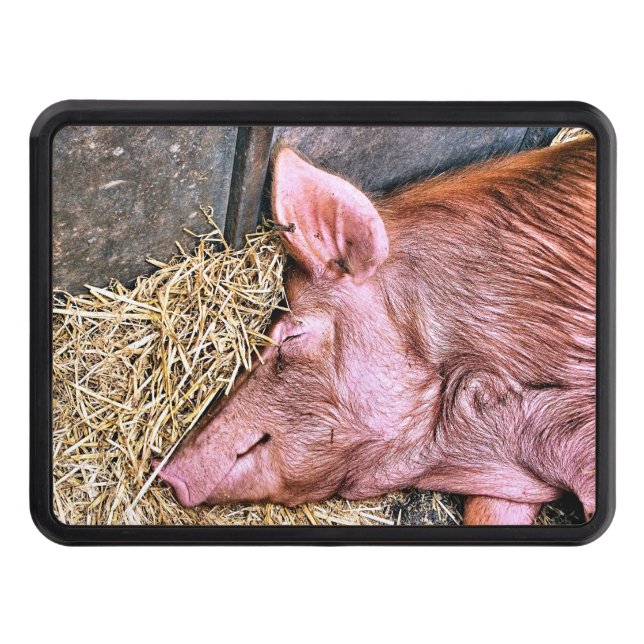 CUTE GRIS DRAGKROKSSKYDD (Framsidan)