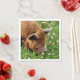 CUTE GRIS PAPPERSSERVETT