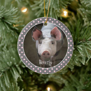 Cute Gris Personlig Ceramic Ornament