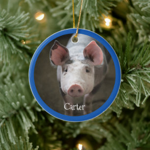 Cute Gris Personlig Ceramic Ornament