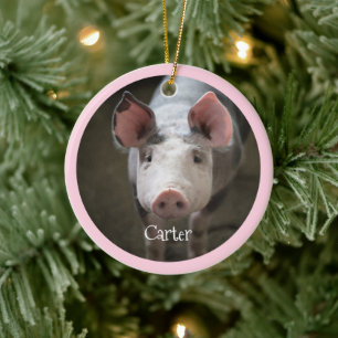 Cute Gris Personlig Julgransprydnad Keramik