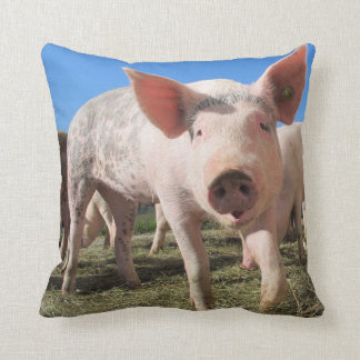 Cute Gris Pillow Kudde