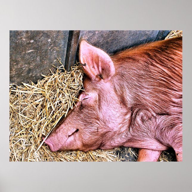 CUTE GRIS POSTER (Framsidan)