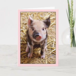Cute Gris Rosa-födelsedagskort Kort