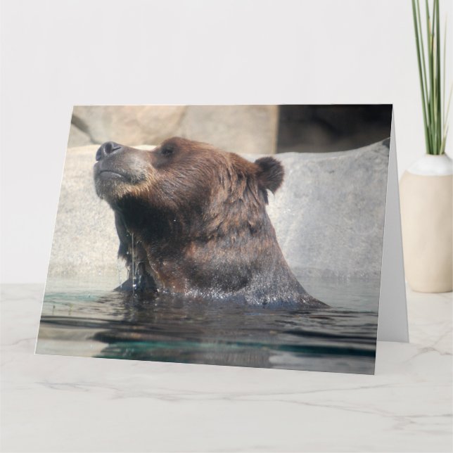 Cute Grizzly Bear Spelar i vatten Kort (Framsida)