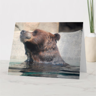 Cute Grizzly Bear Spelar i vatten Kort