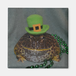 Cute groda magnet