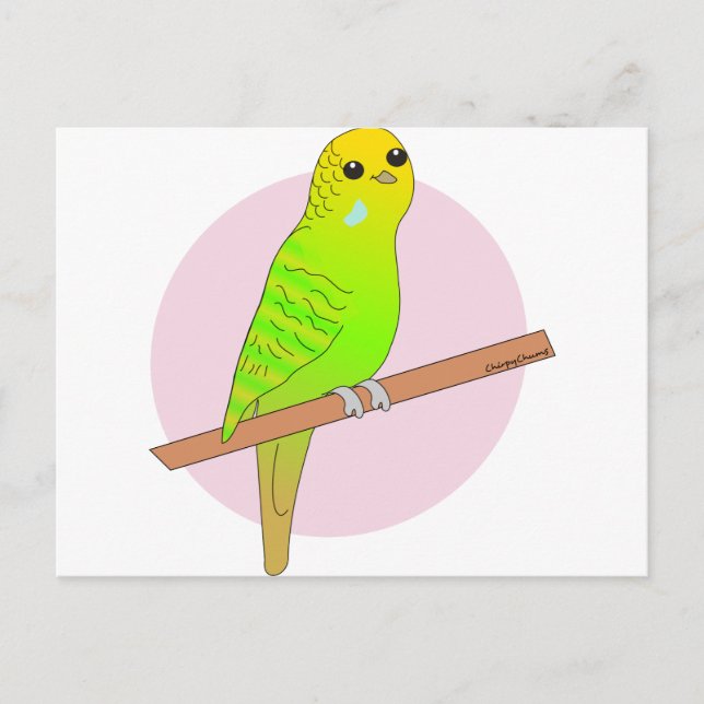Cute Grönt Budgie Vykort (Framsida)