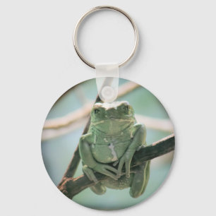 Cute Grönt Frog Sitta på Gren Nyckelring