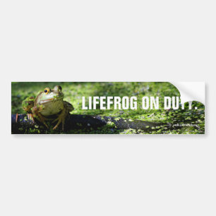 Cute Grönt Frog Strejkor a Pose på Hose Bildekal