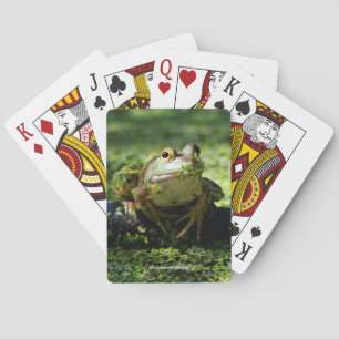 Cute Grönt Frog Strejkor a Pose på Hose Casinokort
