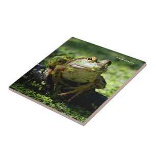 Cute Grönt Frog Strejkor a Pose på Hose Kakelplatta