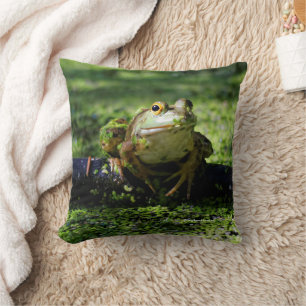 Cute Grönt Frog Strejkor a Pose på Hose Kudde
