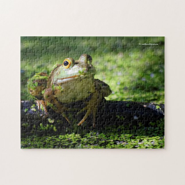 Cute Grönt Frog Strejkor a Pose på Hose Pussel (Horisontell)