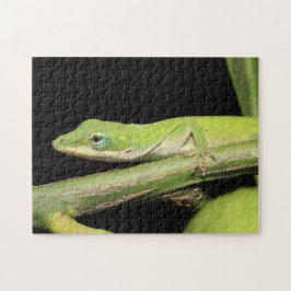 Cute Grönt Garden Anole Lizard Nature Wildlife Pussel