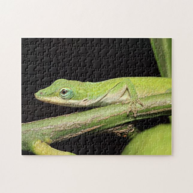 Cute Grönt Garden Anole Lizard Nature Wildlife Pussel (Horisontell)
