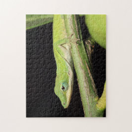 Cute Grönt Garden Anole Lizard Nature Wildlife Pussel